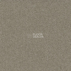 Ковровая плитка Modulyss Millennium Nxtgen Millennium Nxtgen 061 фото 1 | FLOORDEALER